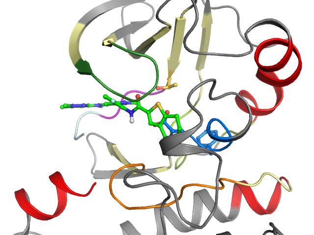 The orthosteric binding pocket
