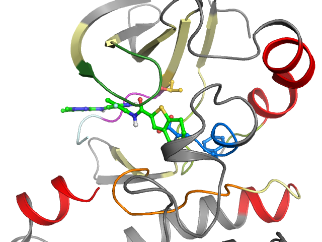 The orthosteric binding pocket