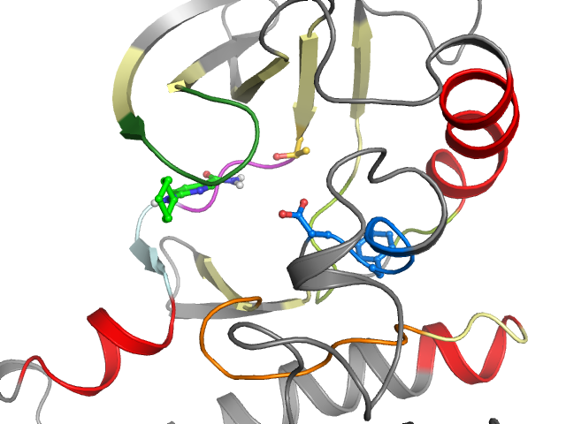 The orthosteric binding pocket