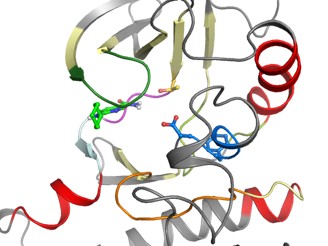 The orthosteric binding pocket