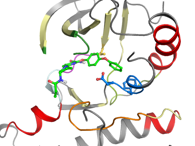 The orthosteric binding pocket