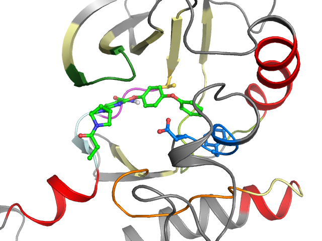 The orthosteric binding pocket