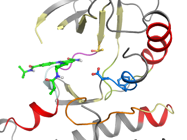 The orthosteric binding pocket