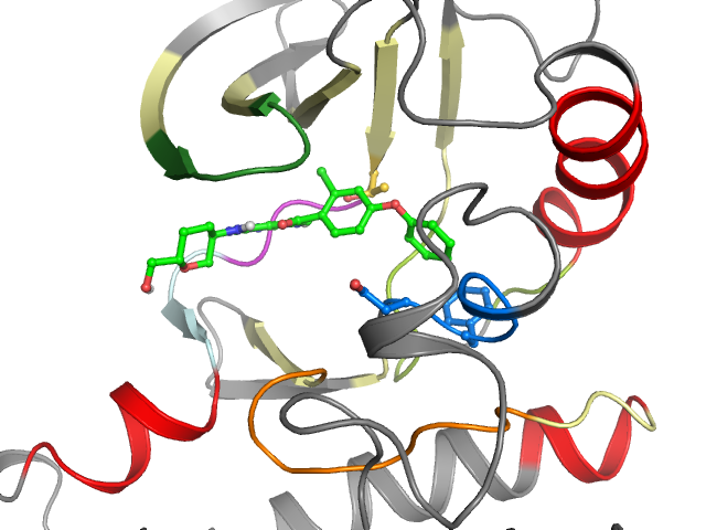 The orthosteric binding pocket