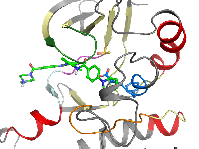 The orthosteric binding pocket