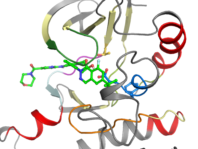 The orthosteric binding pocket