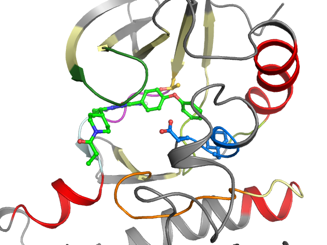 The orthosteric binding pocket