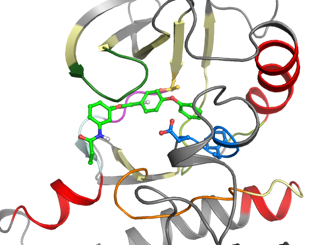 The orthosteric binding pocket