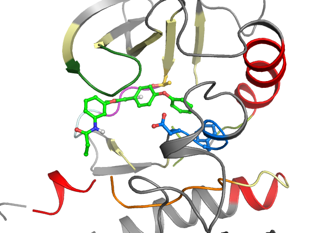 The orthosteric binding pocket