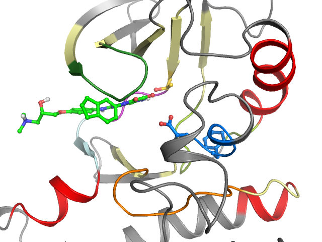 The orthosteric binding pocket