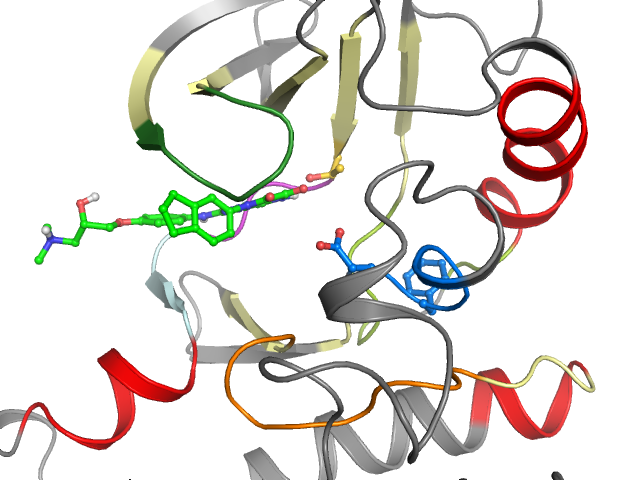 The orthosteric binding pocket