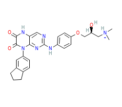 2D structure of the orthosteric ligand