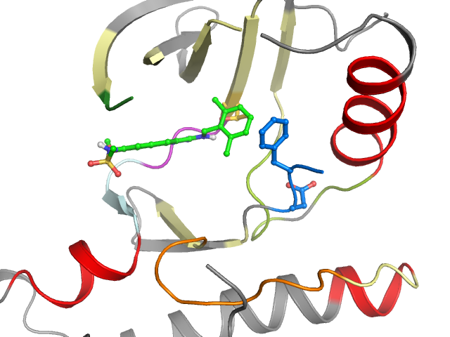 The orthosteric binding pocket