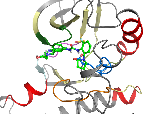 The orthosteric binding pocket