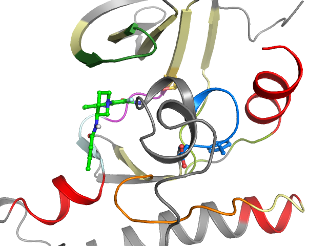 The orthosteric binding pocket