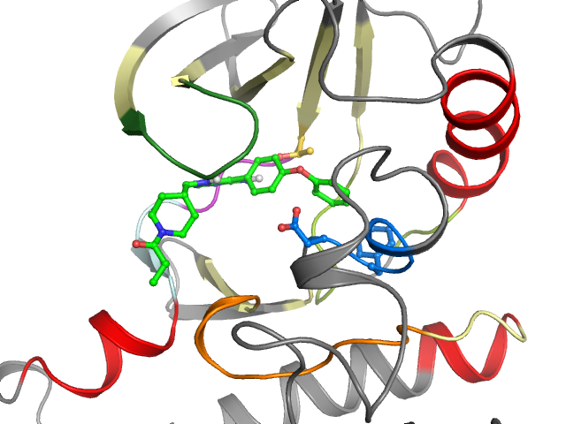 The orthosteric binding pocket