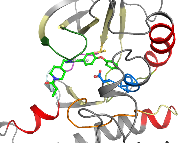 The orthosteric binding pocket