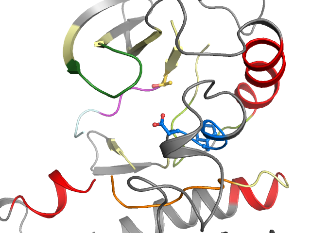 The orthosteric binding pocket