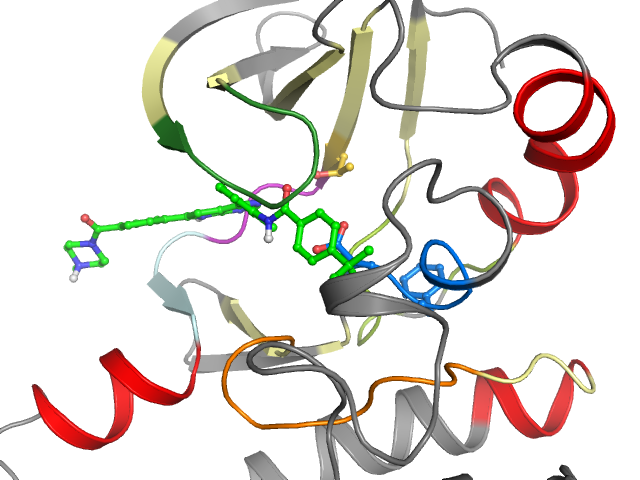 The orthosteric binding pocket