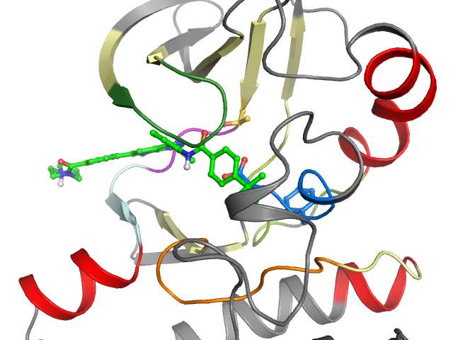 The orthosteric binding pocket