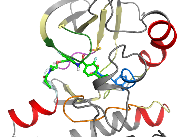 The orthosteric binding pocket