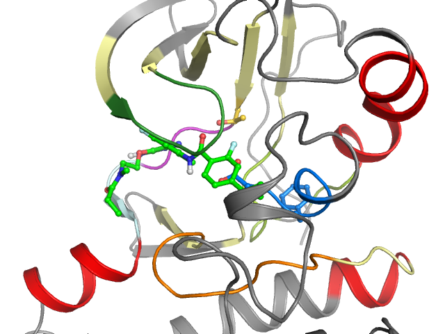 The orthosteric binding pocket