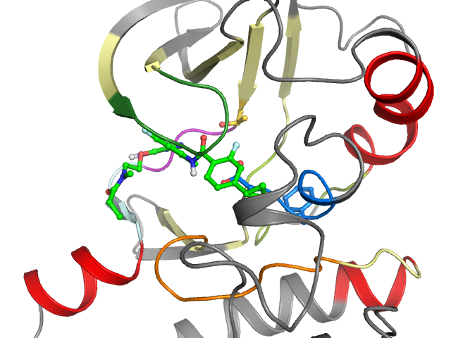 The orthosteric binding pocket