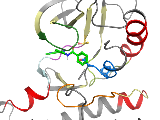 The orthosteric binding pocket