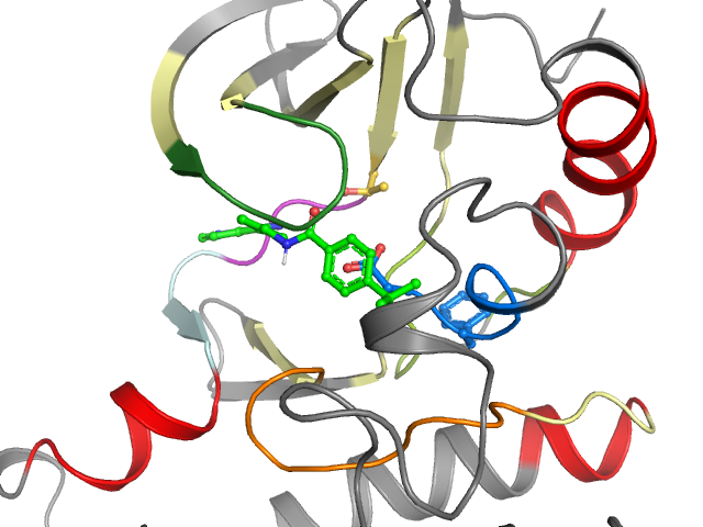 The orthosteric binding pocket
