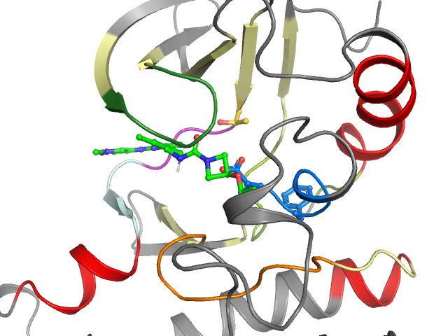 The orthosteric binding pocket