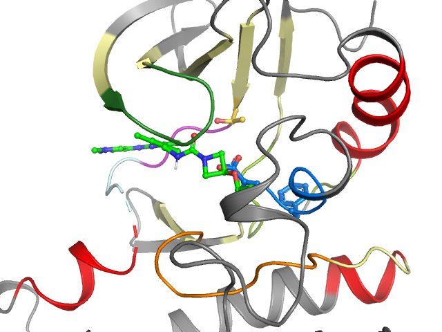 The orthosteric binding pocket