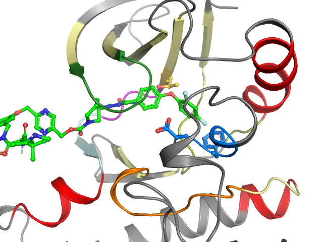 The orthosteric binding pocket