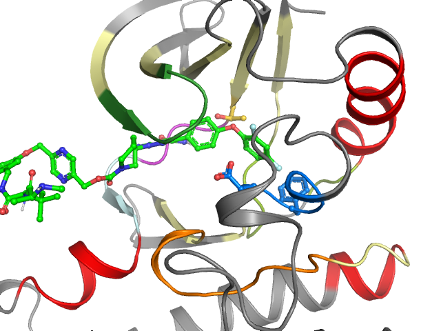 The orthosteric binding pocket