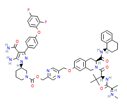 2D structure of the orthosteric ligand