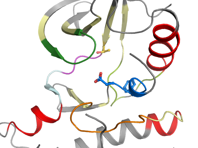 The orthosteric binding pocket
