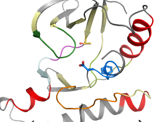 The orthosteric binding pocket