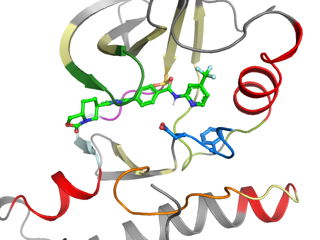 The orthosteric binding pocket