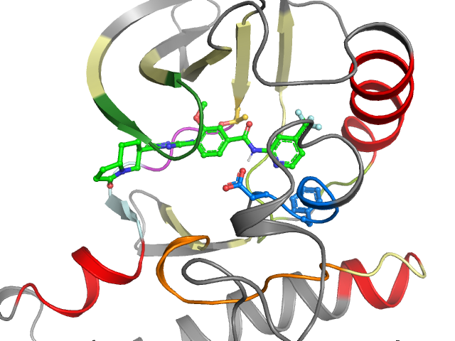 The orthosteric binding pocket