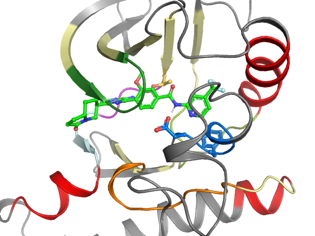 The orthosteric binding pocket