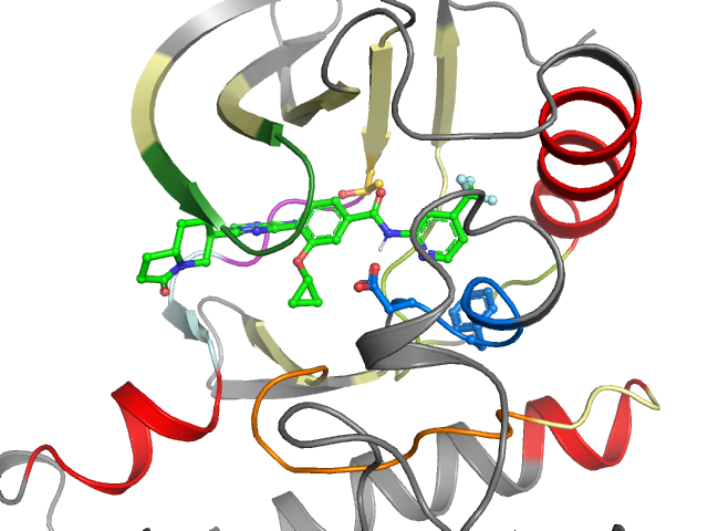 The orthosteric binding pocket