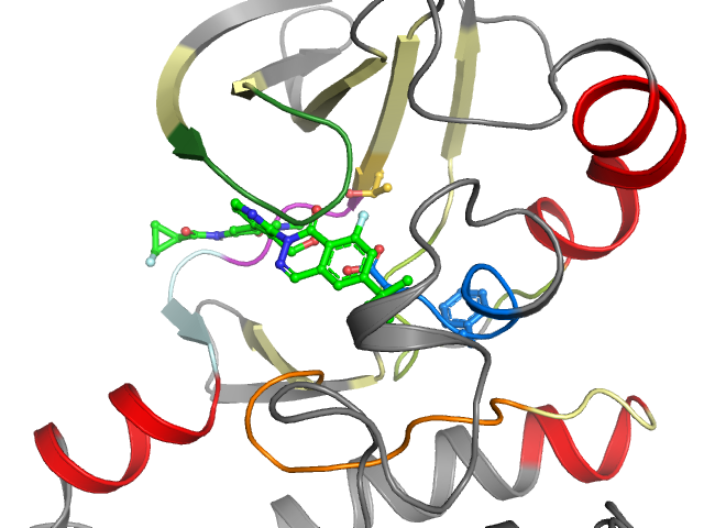 The orthosteric binding pocket