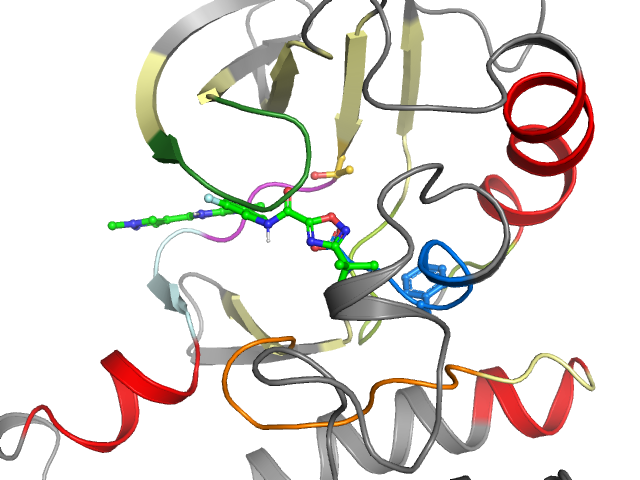 The orthosteric binding pocket