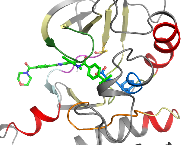 The orthosteric binding pocket