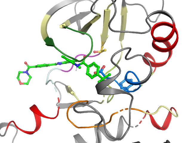 The orthosteric binding pocket