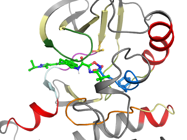 The orthosteric binding pocket