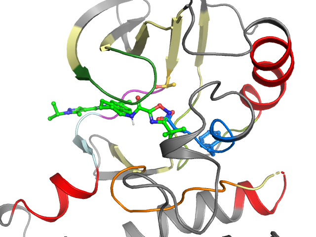 The orthosteric binding pocket