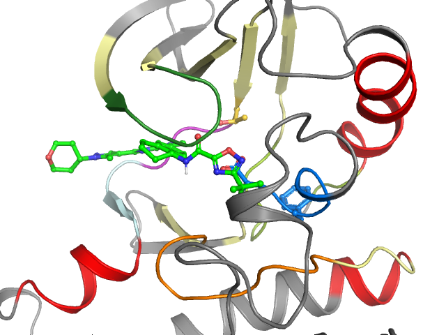 The orthosteric binding pocket