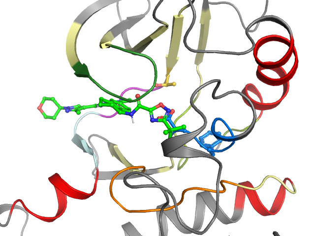 The orthosteric binding pocket