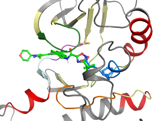 The orthosteric binding pocket