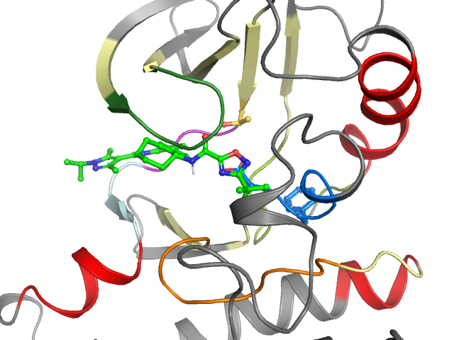 The orthosteric binding pocket